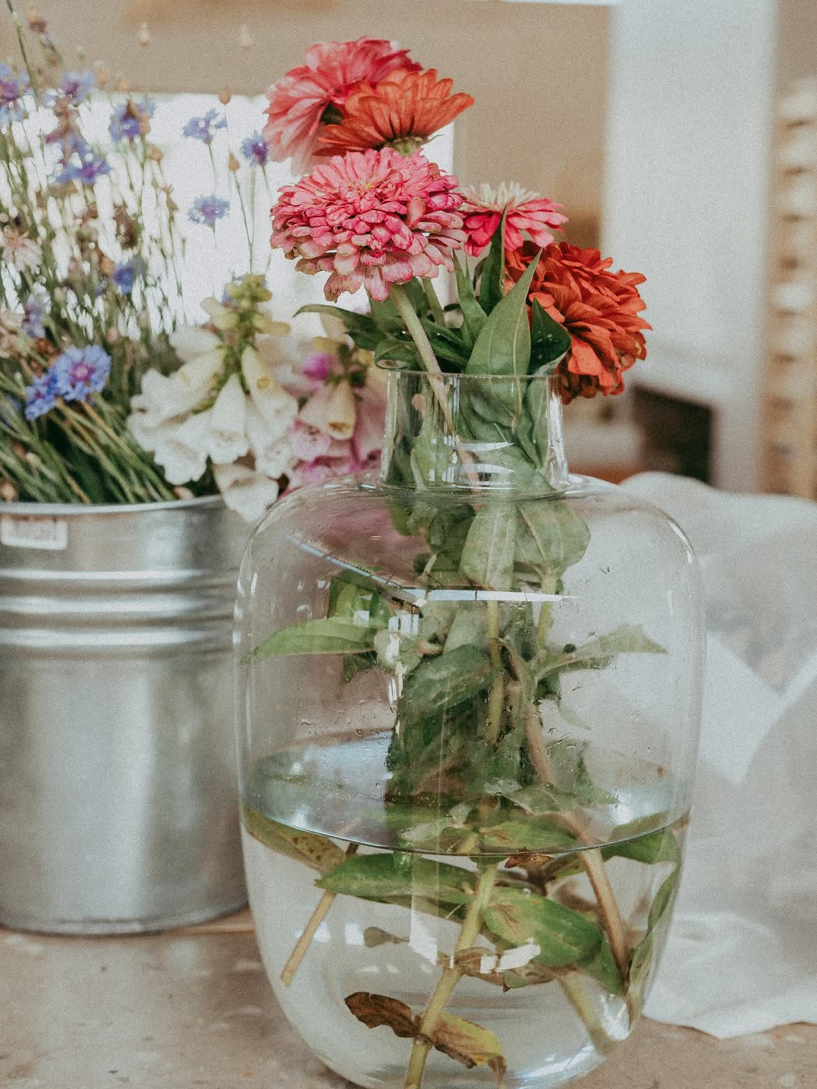 Zinnias in a glass vase beside a bucket of cornflowers and foxgloves