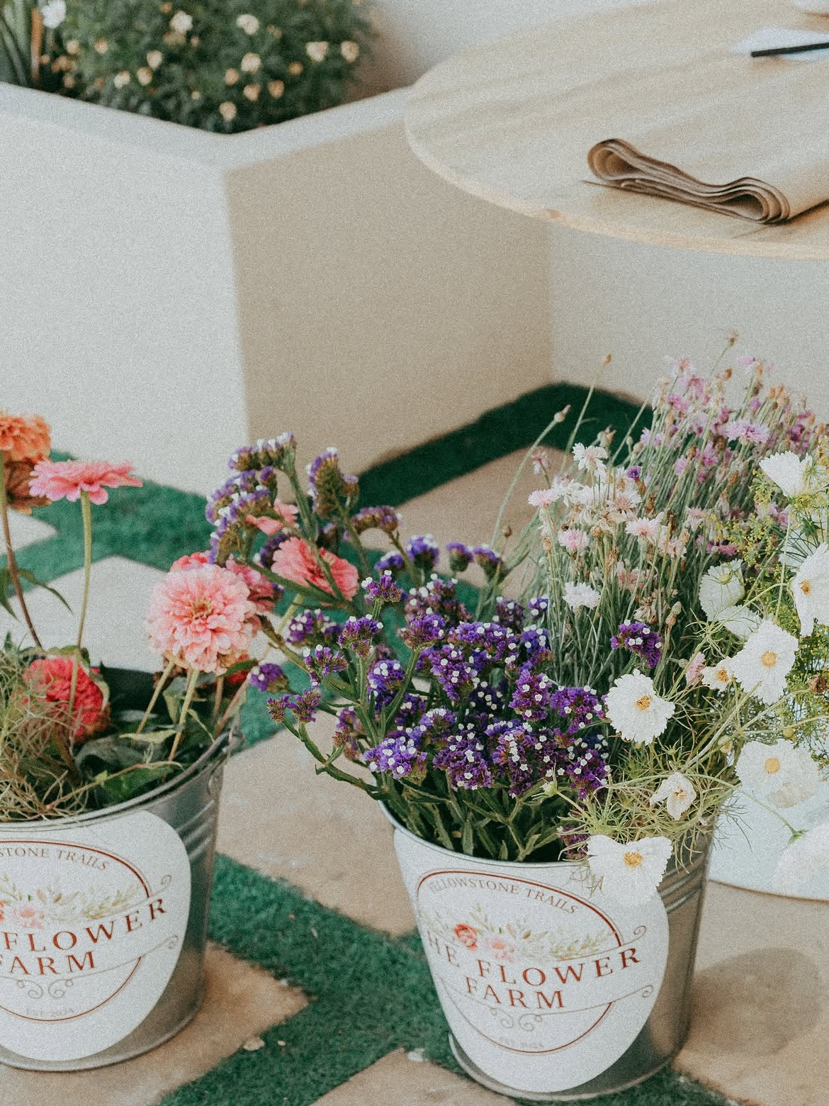 Galvanised Flower Farm buckets filled with zinnias, statice and cosmos