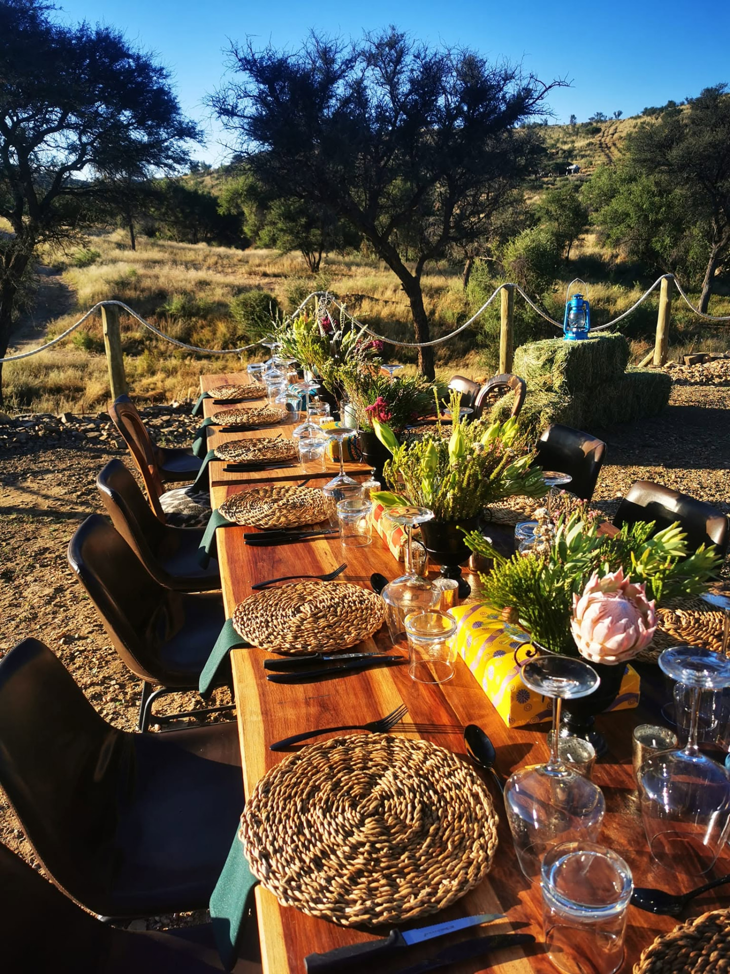 Long wooden table set with woven placemats, glassware and proteas in the late afternoon sun